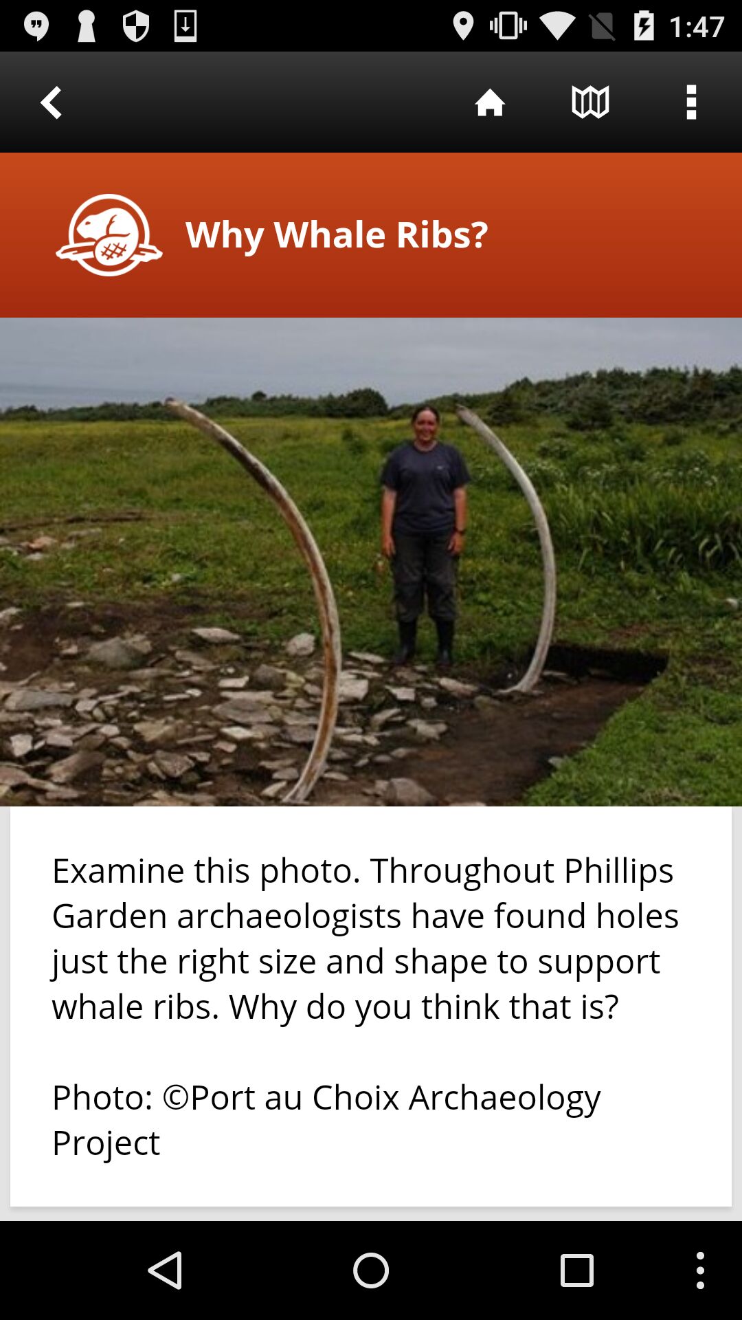 image du projet 2